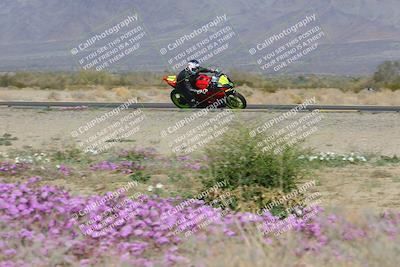 media/Feb-04-2023-SoCal Trackdays (Sat) [[8a776bf2c3]]/Turn 15 Inside Blooming (1050am)/